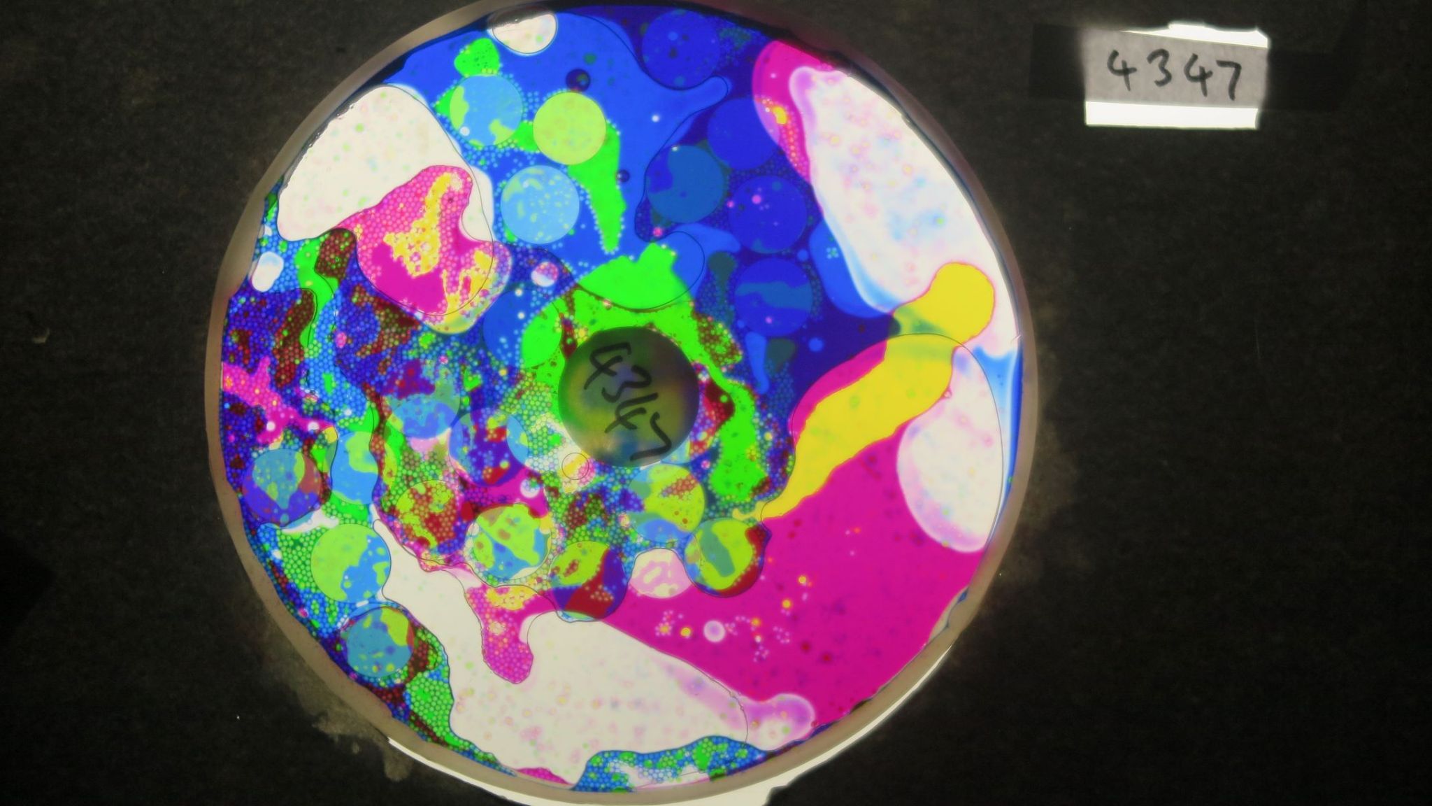 BV4347 bubble vision oil wheel